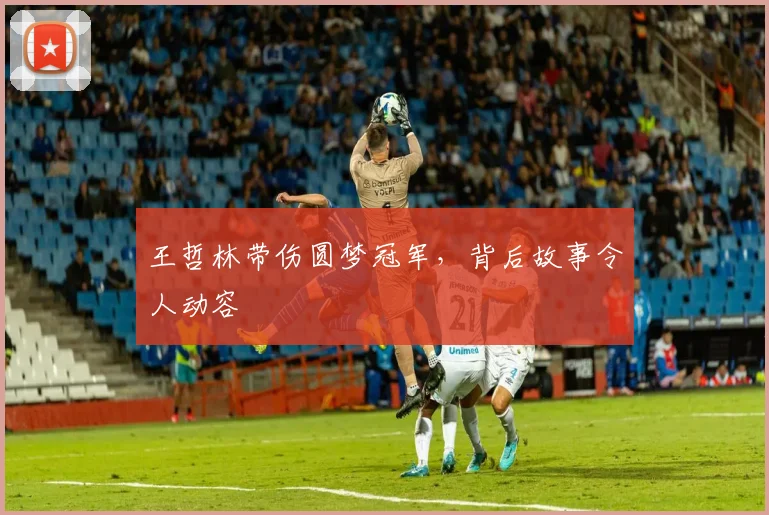 王哲林带伤圆梦冠军,背后故事令人动容