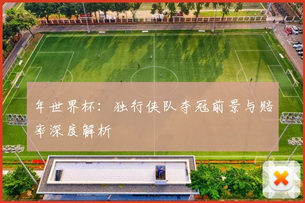 年世界杯:独行侠队夺冠前景与赔率深度解析