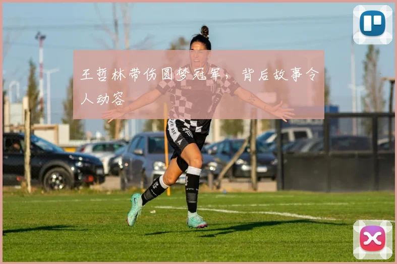 王哲林带伤圆梦冠军，背后故事令人动容