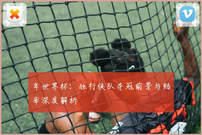 年世界杯：独行侠队夺冠前景与赔率深度解析