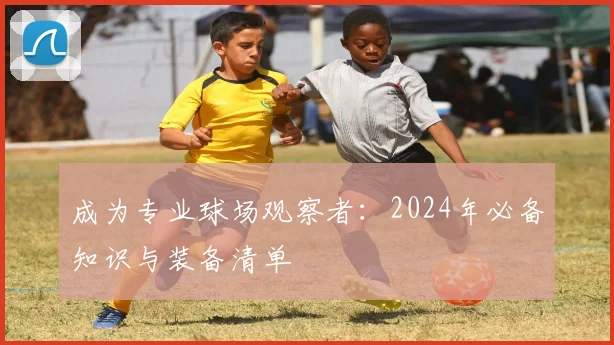 成为专业球场观察者：2024年必备知识与装备清单
